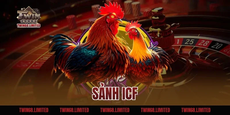 Sảnh ICF – Sảnh Đá Gà Trực Tuyến Hàng Đầu Tại TWIN68